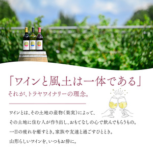 FYN6-229 赤ワイン 月山山麓 ワイン 360ml 赤ワイン