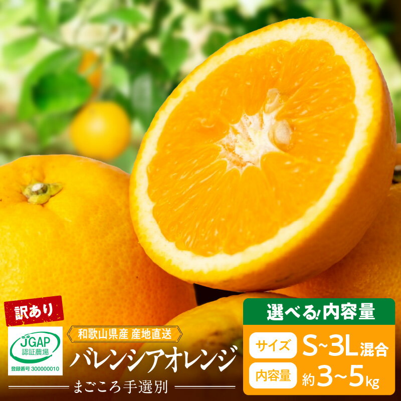 【ふるさと納税】【限定】 【2026年先行予約】 和歌山県産 バレンシアオレンジ 家庭用 訳あり 選べる 内容量 3kg 5kg S～3Lサイズ サイズ混合 爽やか 酸味 甘み バランスがいい 芳醇 香り 果汁 味わい 濃厚 苦み 少ない 食べやすい 柑橘 フルーツ 果物 お取り寄せ 和歌山県