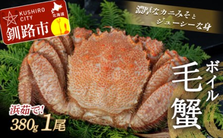 【浜茹で！】ボイル毛ガニ380g（冷凍）×1尾 毛がに カニ F4F-5338