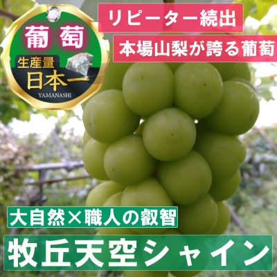 
            ＜2025年先行受付＞2025年10月中旬発送「幻の牧丘天空シャインマスカット」約1kg(2～3房)【1473199】
          