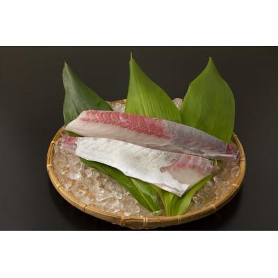 ふるさと納税 南大隅町 【ねじめ黄金カンパチ】ロイン 片身分 ( 約400g × 2本 )