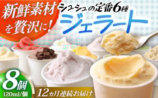 【12回定期便】シュシュ 定番ジェラート8個セット / アイス アイスクリーム ジェラート スイーツ /  大村市 / おおむら夢ファームシュシュ [ACAA412]