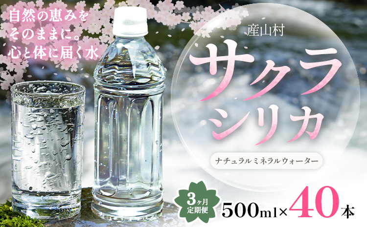 【3ヶ月定期便】サクラシリカ 500ml × 40本 みずの里《30日以内に出荷予定(土日祝除く)》熊本県 阿蘇郡 産山村 ミネラルウォーター シリカ 水 天然水 鉱水 ラベルレス ラベルなし---u