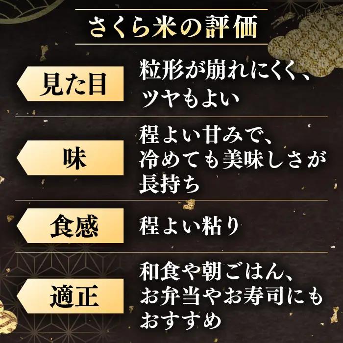 【12回定期便】 ななつぼし さくら米 5kg 令和7年産 令和8年産 白米 精米 ブランド米 [AXAB007]