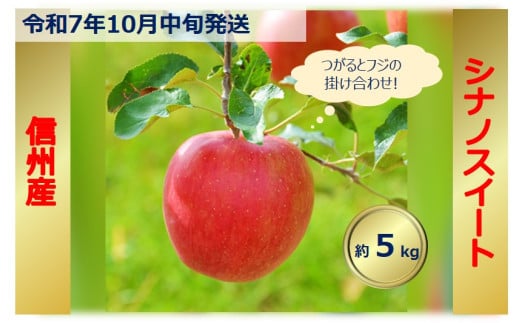 【012-16】令和7年10月中旬発送　シナノスイート　5キロ　信州が生んだ最高においしいりんごです（りんご・リンゴ・林檎）
