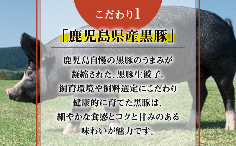 鹿児島黒豚使用の黒豚餃子 96個　K202-001