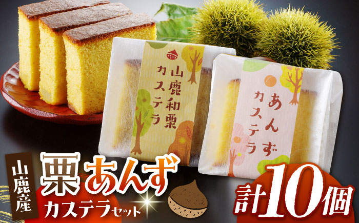 カステラセット 山鹿和栗 & あんず 計10個 【株式会社あんず】 [ZBT003]