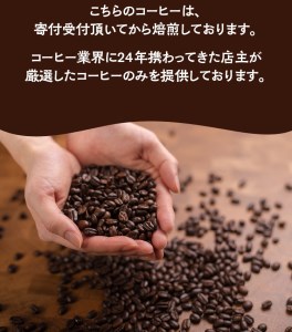 【細挽き】店主おまかせ 挽き立てコーヒー豆3種類セット(100g×3種類）【hgo003-a】