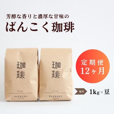 ふるさと納税 津山市 【毎月定期便】芳醇な香りと濃厚な甘味の珈琲 計1kg豆×全12回
