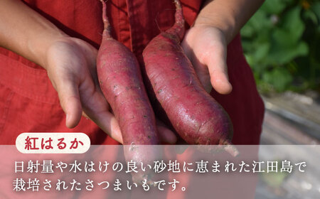 スイーツの香り！江田島の本格 芋焼酎 てくてく【紅はるか】720ml×2本 さついまいも 人気 健康 酒 食事 ギフト プレゼント 江田島市/峰商事 合同会社[XAD001]