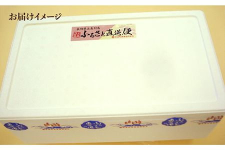 きびなご一夜干し130g×10袋 魚 おつまみ 小分け 干物 カルシウム 五島市/奈留町漁業 [PAT004]