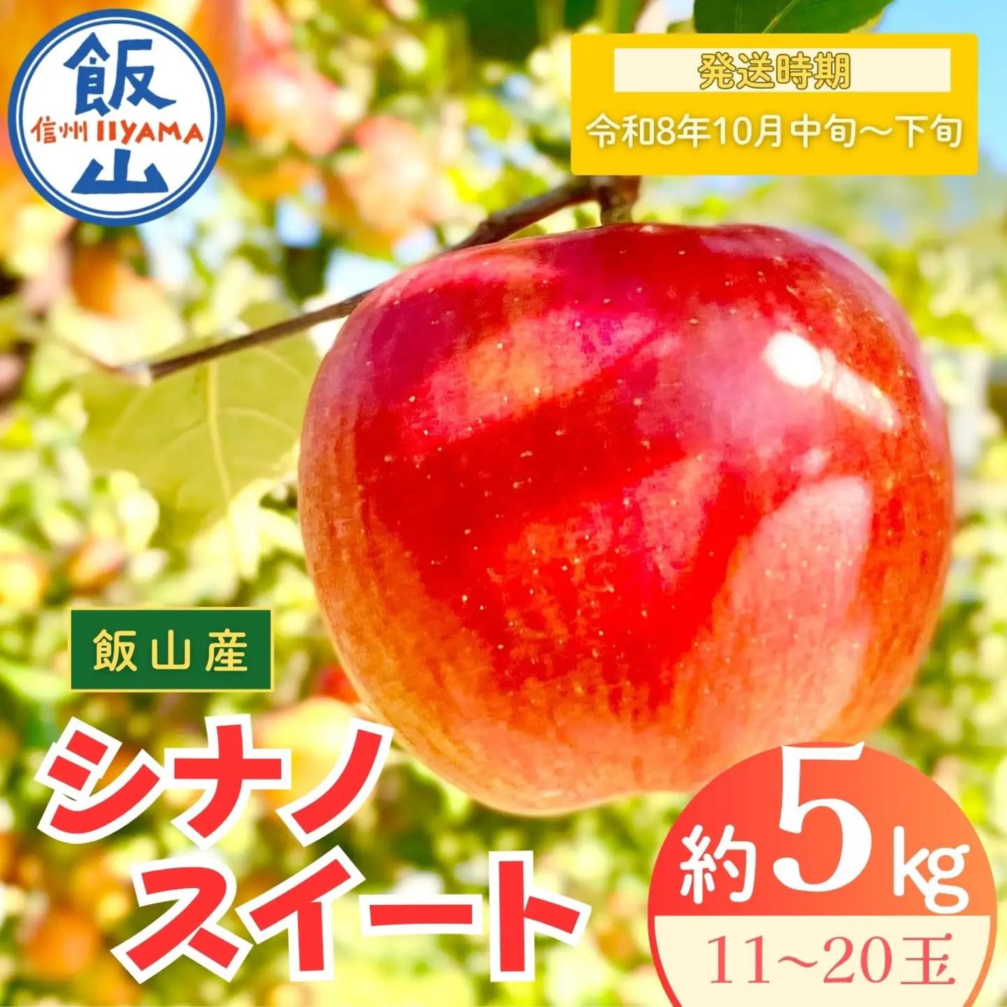 りんご シナノスイート 約5kg（11～20玉)【2026年10月中旬より発送 先行予約】At-012