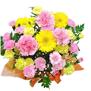 【先行予約】 母の日に！ 生花アレンジメントＢピンク系 2026年5月から順次発送 オンライン決済限定 花 花