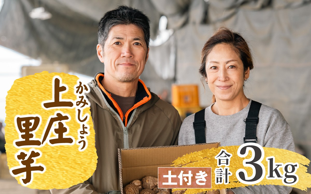 
                  日本の美味い里芋！秋の味覚 上庄里芋 3kg
                