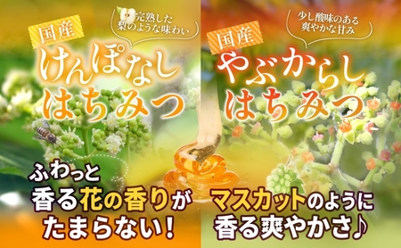 藤原黄金蜂蜜 3種セット 栃 けんぽなし やぶからし 各120g 計360g はちみつ とち 国産 単花蜜 朝しぼり 完熟 ハチミツ パン 菓子 トースト ホットケーキ ヨーグルト 調味料 お取り寄せ