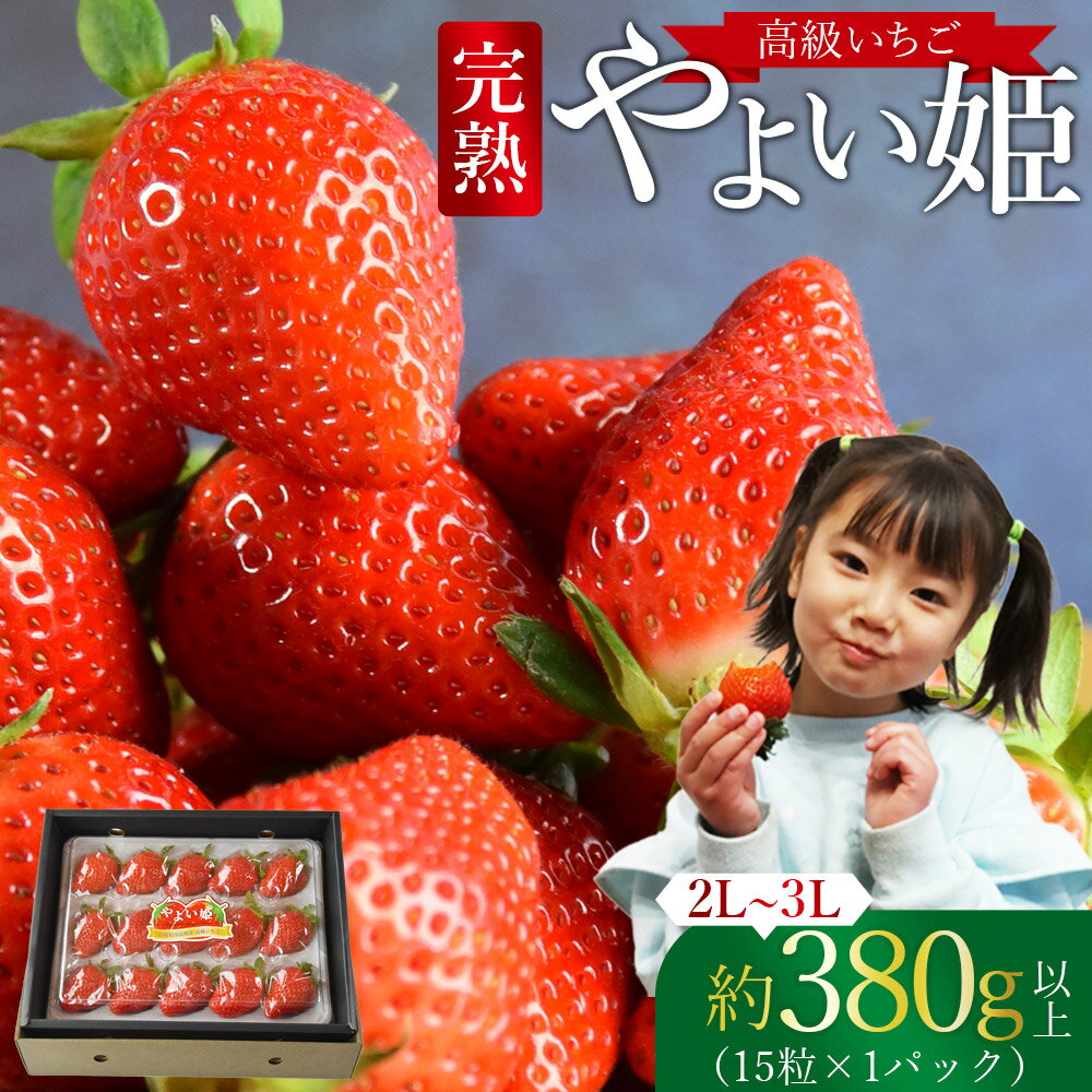 【ふるさと納税】予約受付！＜高級いちご「やよい姫」（15粒×1パック 約380g以上）＞※入金確認後、2025年1月上旬から4月末迄に順次出荷します。果物 青果 イチゴ 苺 大粒 フルーツ 食品 お祝い お返し サンクール・スマイルファーム 宮崎県 国富町 0328_sn【冷蔵】