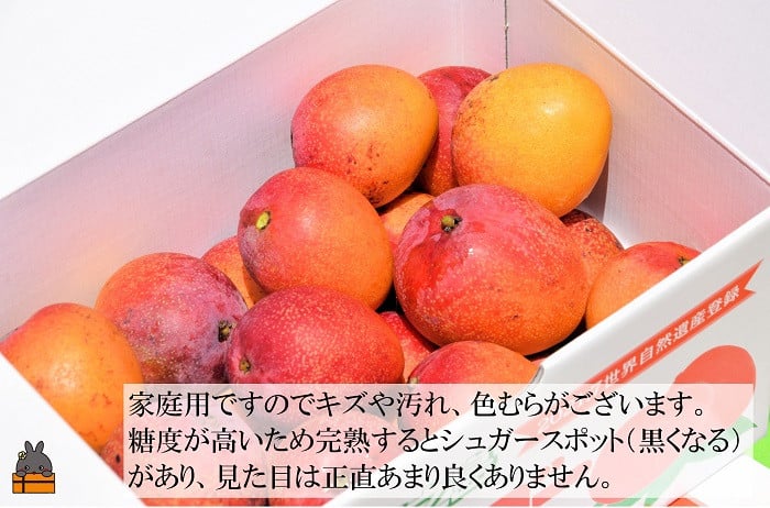 見た目が良くありませんので、ご了承の上お申込み下さい。