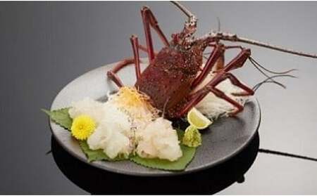 伊勢海老 約1kg（1~3尾）伊勢海老【kmgk0001】