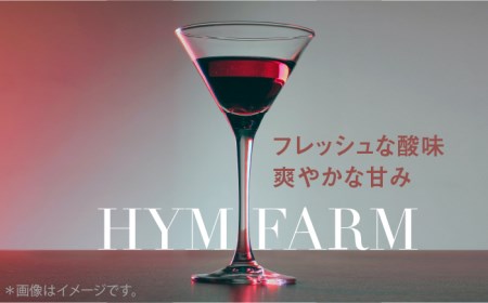 糸島産 ブルーベリー ＆ ブラックベリー ワイン 720ml×2種 セット 糸島市 / HYM FARM[AHM001]