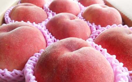 No.1216 もも「あかつき」約3kg【2026年発送】