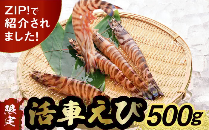 
            【着日指定可能】【ZIP! で紹介】活車エビ 500g / えび エビ 海老 車海老 活き 車えび 海鮮 魚介類 魚貝類 産地直送 有頭 えび エビ 海老 / 南島原市 / 深江町漁業協同組合 [SBO002]
          