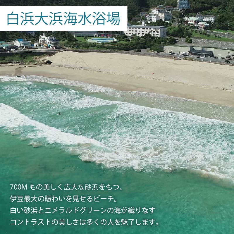 FFKT 2026 Izu Shirahama チケット+パーキングチケット 野外 屋外 フェス 音楽 Music ライブ クラブ DJ ダンス 海 イベント 白浜 ホテル伊豆急 ホテル プール 静岡