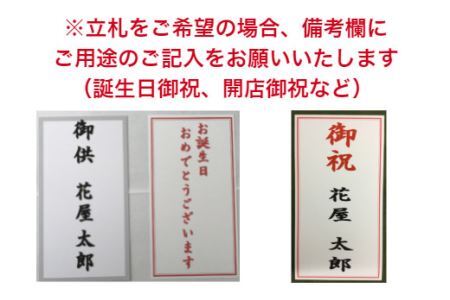99 胡蝶蘭　3本立(B99-2)