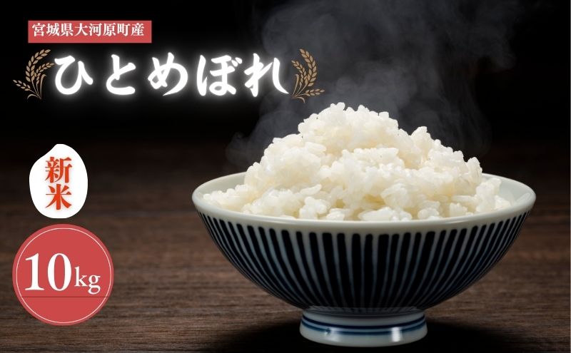 令和7年産 宮城県大河原町産 ひとめぼれ 10kg 米 お米 精米 白米 こめ コメ 令和7年 宮城県産