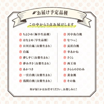 【発送月固定定期便】桃好きさん、集まれ～!個性ある3種のももが楽しめる全3回【配送不可地域：離島・沖縄県】