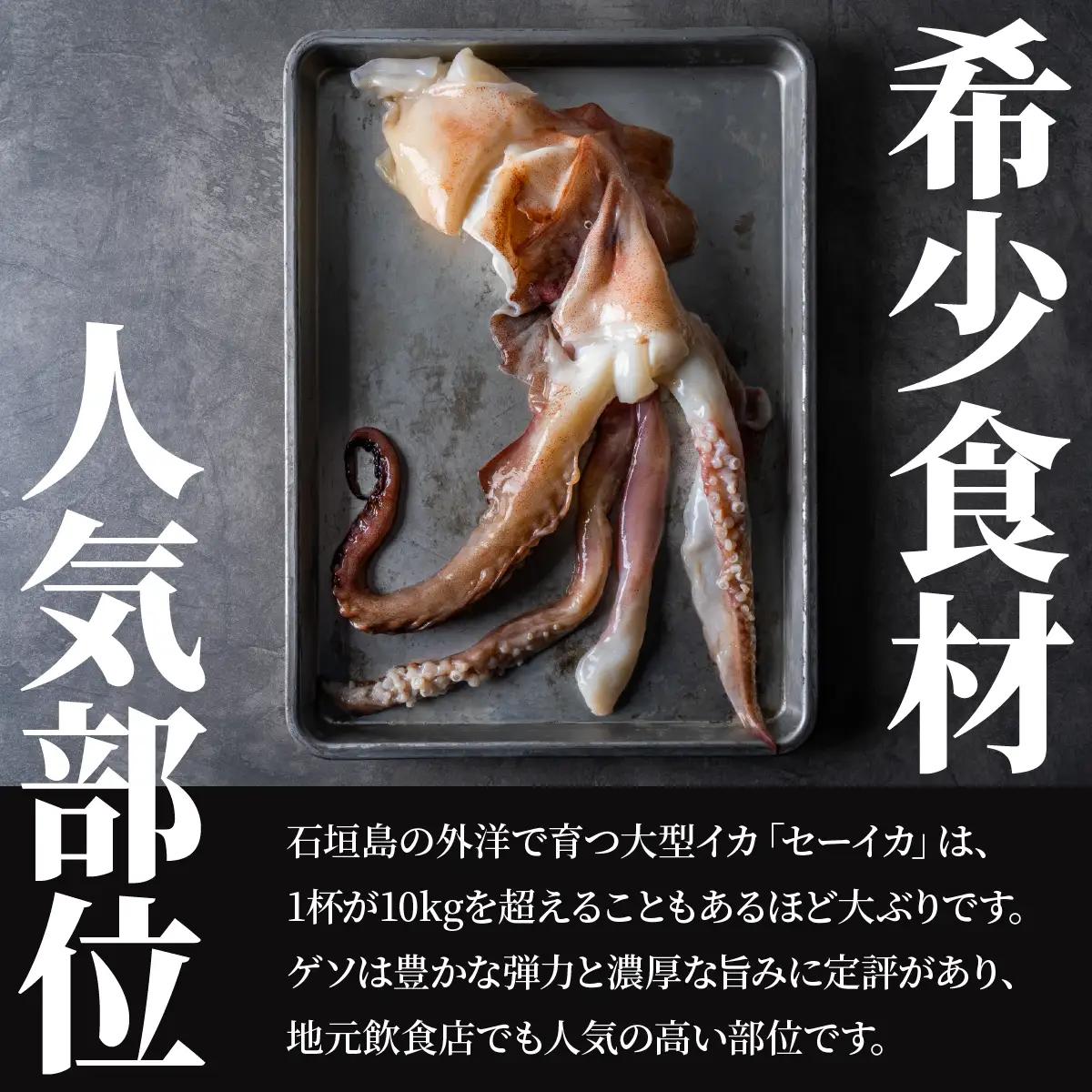 セーイカ げそ 300g×3パック 加熱用 石垣島産 ＜訳あり＞ 