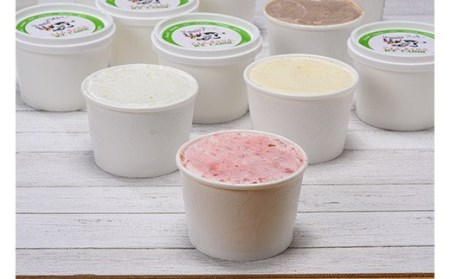 北海道産 手作りアイスクリーム 120ml×8個セット (おまかせ詰め合わせ)  南幌町 NP1-292