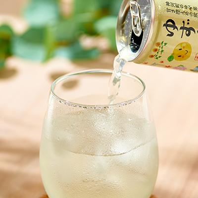 ふるさと納税 神河町 【かみかわ育ち】ゆず香ちゃん 190g×30缶 |  | 02