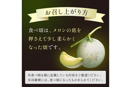 【先行予約／数量限定500】京丹後産 砂丘メロン 大玉2L以上 1玉（2024年7月下旬～発送）