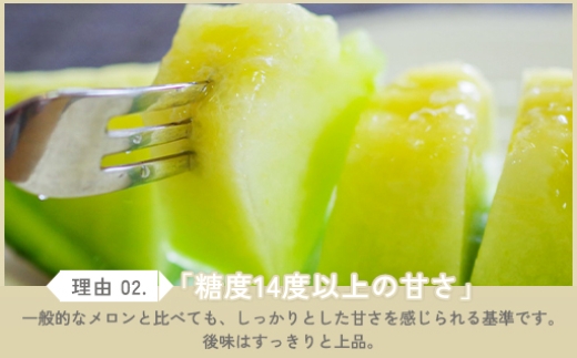 先行予約・数量限定！ジューシーで、濃厚でとっても甘い、糖度14度以上のアムスメロンを2玉お届けします(*^▽^*)