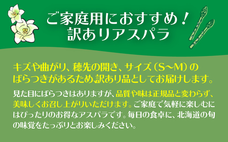 【2026年予約】【訳あり】朝採りグリーンアスパラ（春芽）S-M混合 約1kg 北海道壮瞥町産 SBTAJ038