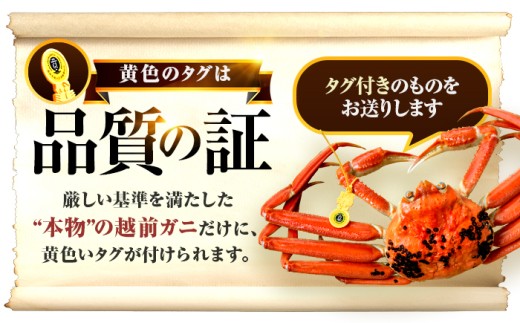 【先行予約】 【2月配送】 越前がに 800ｇ×3杯 小浜市 / まるほ商店 【配送不可地域：北海道・沖縄・離島】[BFCS026-2]