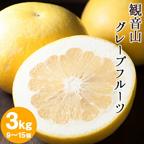 【ふるさと納税】観音山グレープフルーツ 3kg 有限会社柑香園《2026年1月上旬-2月下旬頃出荷》和歌山県 紀の川市 フルーツ 果物 柑橘 グレープフルーツサンタマリア