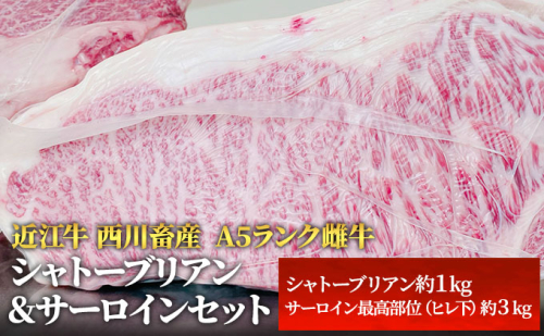 【最短1週間発送】 A5 近江牛 肉 ステーキ 牛肉 雌牛 シャトーブリアン サーロイン セット 黒毛和牛 サーロインステーキ お肉 牛 和牛 ブランド牛 滋賀県 豊郷町