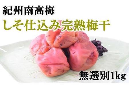 【紀州南高梅使用】しそ仕込み完熟梅干し 無選別1kg