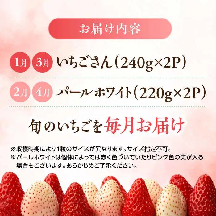 【全4回定期便】いちごさん・パールホワイト / 佐賀県 / かわさきいちご [41ASBJ005]