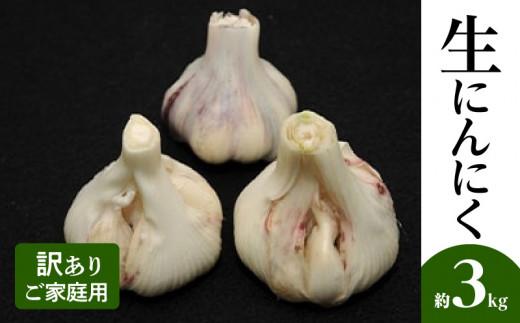 訳あり ご家庭用 生にんにく 約3kg【2026-5月上旬～2026-6月上旬配送】 372013_T006-140J