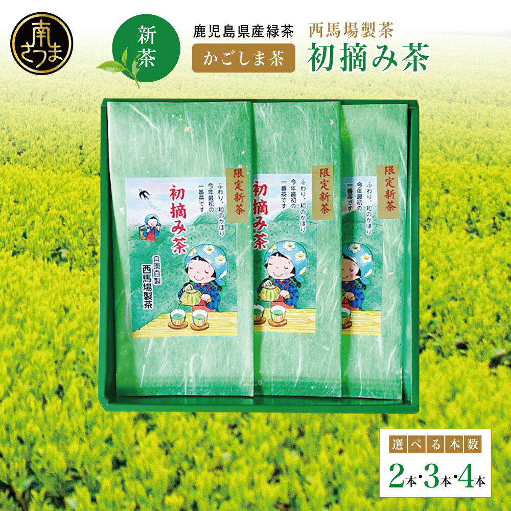 【ふるさと納税】［新茶］ 初摘み茶 ＜2026年：5月中旬出荷開始＞先行予約 先行受付 ★本数が選べる★ 西馬場製茶 鹿児島県産 緑茶 かごしま茶 お茶 日本茶 茶葉 煎茶 リーフティー ティータイム 飲み物 ドリンク ギフト 贈答 手土産 贈り物 プレゼント 南さつま市 送料無料