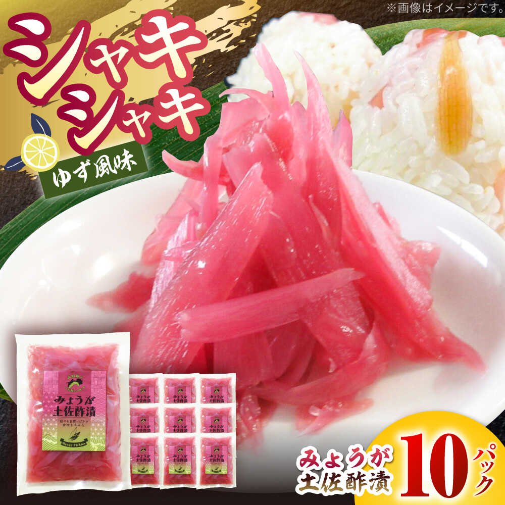 【ふるさと納税】みょうが土佐酢漬け 約70g×10パック 【JapanGinger株式会社】 茗荷 ミョウガ 薬味 やくみ 漬物 ツケモノ シャキシャキ食感 適度な辛み[ATFD002]