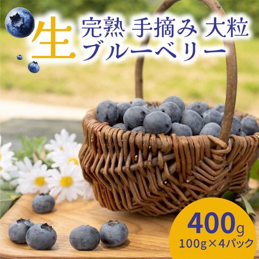 【先行受付予約】知多半島 生ブルーベリー 400g（100g×4パック） 完熟 果物 フルーツ 旬 農園直送 青果物 国産 健康 美容 愛知県 美浜町 ブルーベリーの里みはま 産地直送 ※2026年6月上旬～8月中旬に順次発送予定 送料無料 数量限定 期間限定 ※北海道・沖縄・離島への配送不可