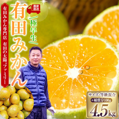 有田みかん専門店 有田の太陽(登録商標)ファミリー 極早生 有田みかん 4.5kg＋補償分100g 山採れ・サイズ・等級 混合