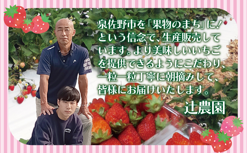 【先行予約】朝摘み 完熟いちご 2パック【化粧箱入り 苺 無添加 自然素材 フルーツ イチゴ 高評価 数量限定】 099H1970