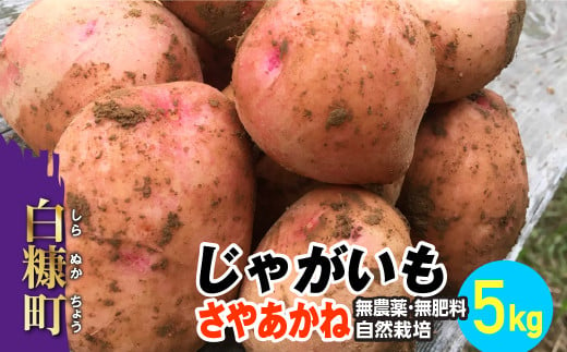 
じゃがいも（さやあかね）無農薬・無肥料・自然栽培・北海道産【5kg】
