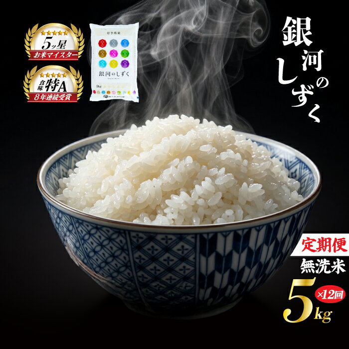 【ふるさと納税】 銀河のしずく 無洗米 5kg 米 定期便 12回 12ヶ月 連続 お届け 盛岡市産 いわて米 ブランド米 精米 白米 米 お米 こめ コメ ライス ご飯 ごはん 美味しい おすすめ贈り物 ぎんがのしずく 国産 産地直送 盛岡 佐々木米穀店