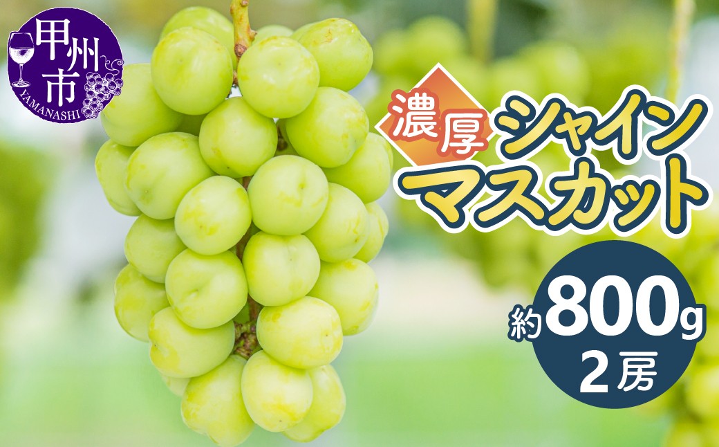 
                  濃厚シャインマスカットおためし約800g（2房）【2026年発送】（KKK）A08-830【シャインマスカット 濃厚 葡萄 ぶどう ブドウ 令和8年発送 おためし 期間限定 山梨県産 甲州市 フルーツ 果物】
                