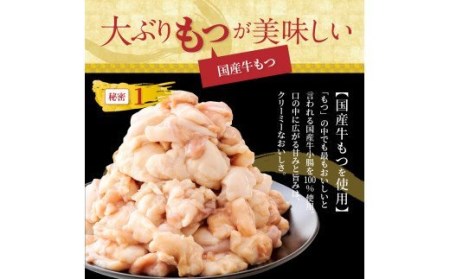 国産牛モツたっぷり600g！大容量5-6人前　やまやの博多もつ鍋セット　TY2802